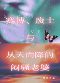 赛博、废土与天降爱人