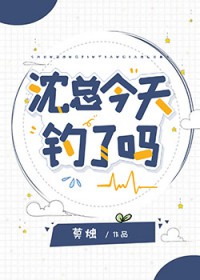 沈总今天钓了吗