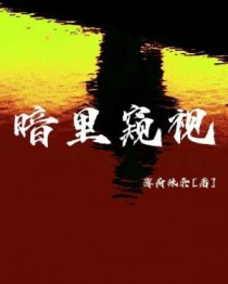 暗里窥视