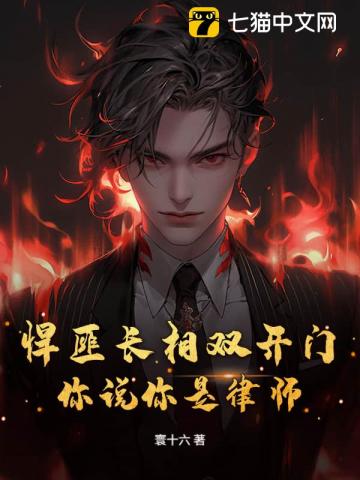 悍匪长相双开门，你说你是律师？