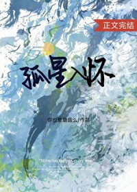 孤星入怀
